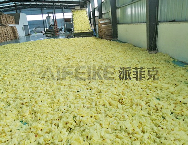 黃秋葵網(wǎng)帶式烘干機(jī)