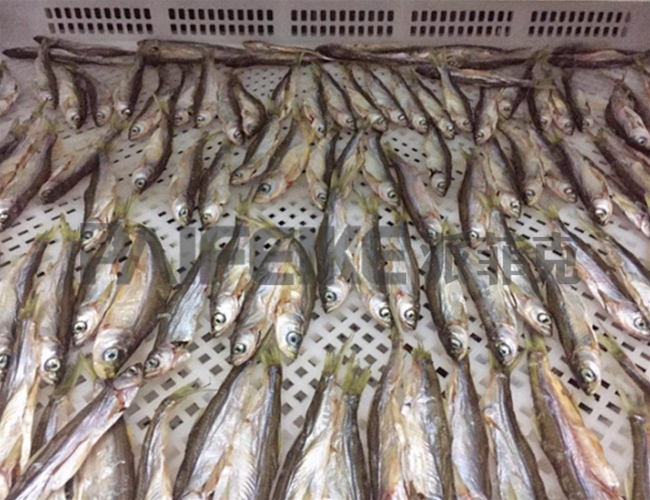 海產(chǎn)品空氣能熱泵烘干機(jī)