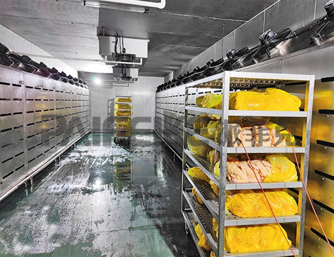 肉雞低溫高濕解凍機