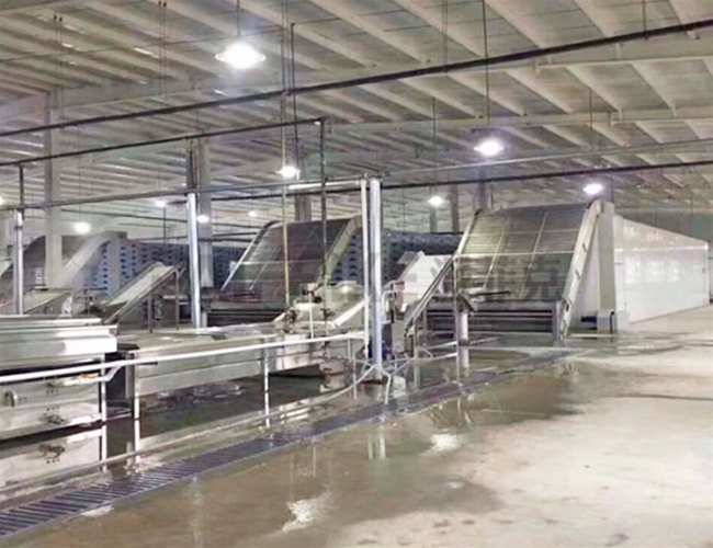 洋蔥清洗烘干生產線