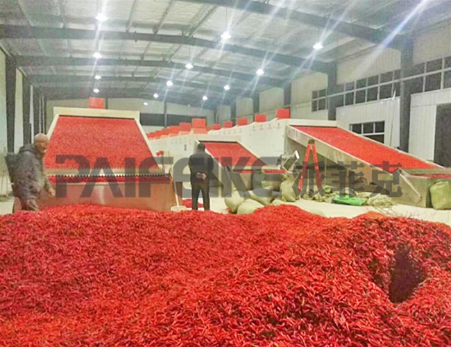 辣椒網(wǎng)帶式多層烘干流水線