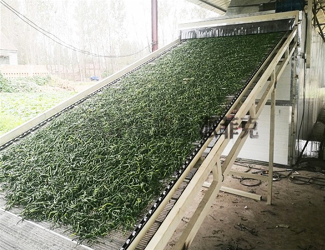 連續(xù)性脫水蔬菜帶式烘干機(jī)